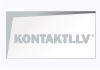 BKSV Group